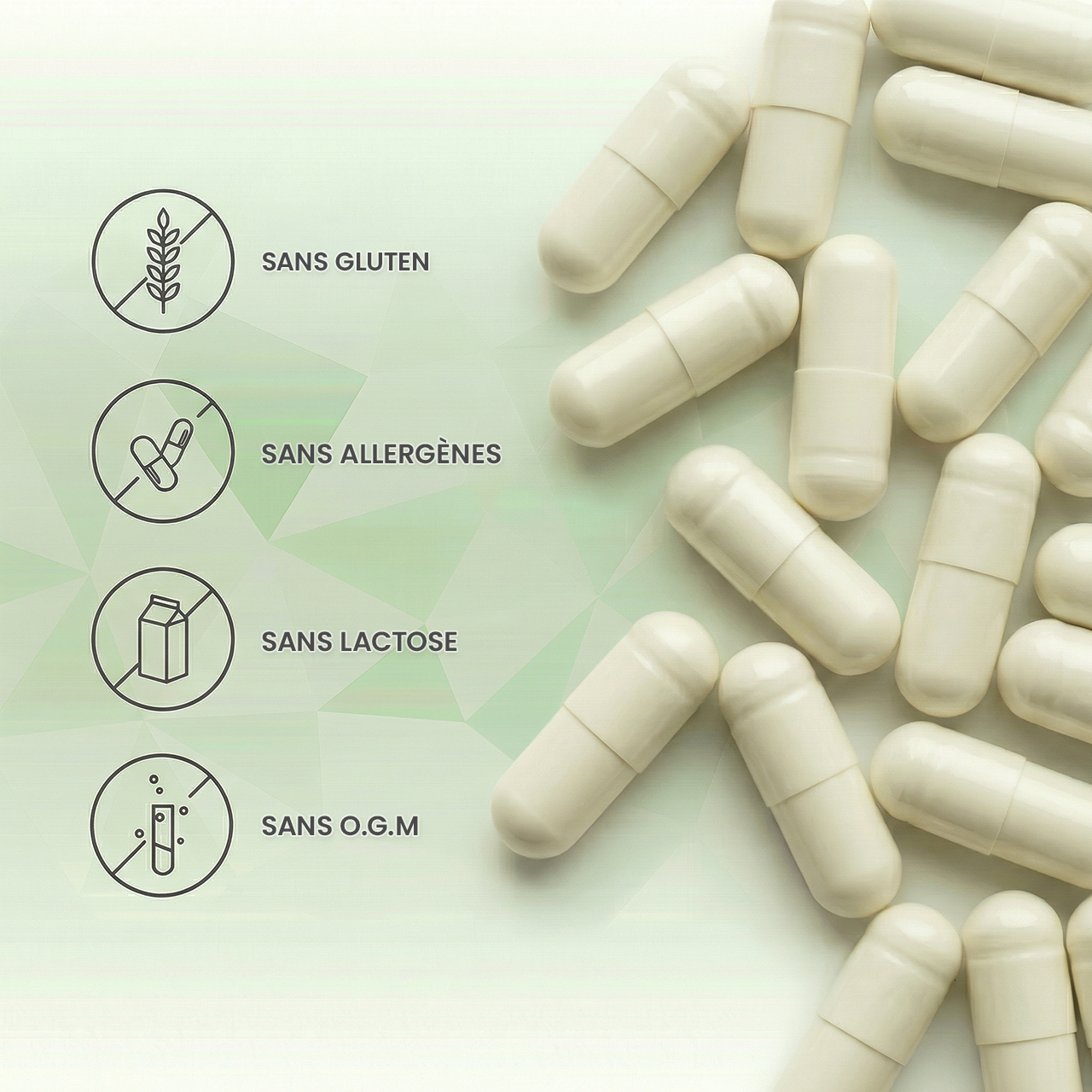 Probiotiques EFI - Adultes